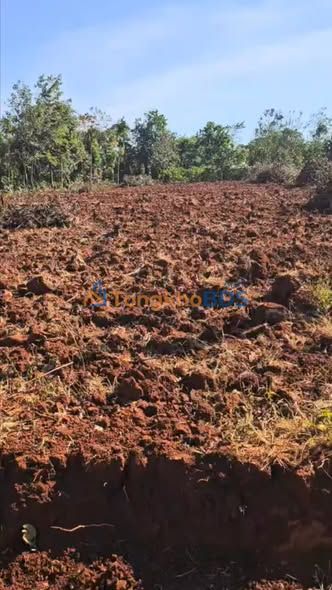 Đất Vườn Đắk Lắk 4000m² - Sổ Đỏ Thổ Cư 400m² - Giá 1.45 Tỷ