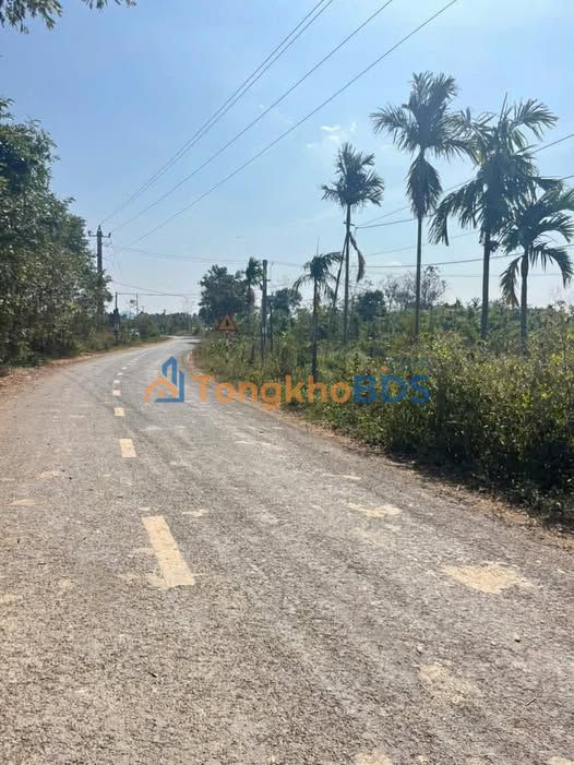 Bán Nhà Mặt Tiền Đường Nhựa 600m² Ea Tiêu, Đắk Lắk - Sẵn Sàng Dọn Vào Ở Ngay