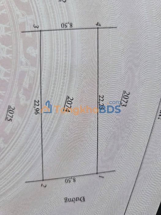 Đất nền Nghi Văn, Nghệ An – 200m² – Vị trí kinh doanh đắc địa