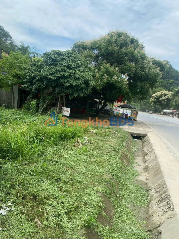 Đất nền Đường HCM Gia Lâm 530m² 5.3 tỷ - Đường to ô tô