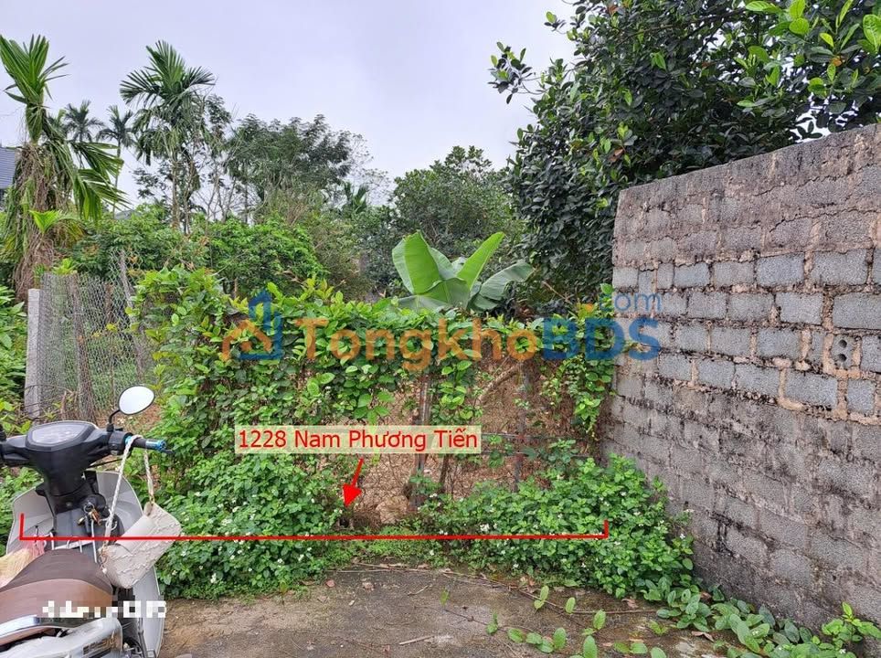 Đất Vườn 1228m² Chương Mỹ - Sổ Đỏ Chính Chủ, Sẵn Sàng Kinh Doanh