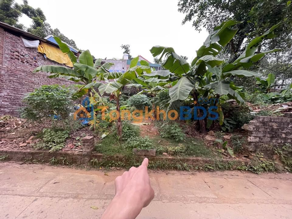 Đất nền sổ đỏ Sơn Đồng, Hoài Đức 57.5m² - Sẵn sàng xây nhà, đầu tư sinh lời