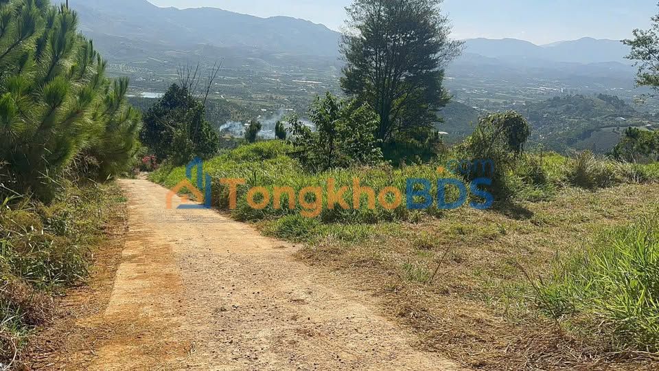 Bán 3.5 Sào Đất Vàng Hẻm Phan Huy Ích, Bảo Lộc - Giá F0 Chỉ 400k/m²