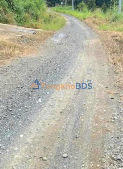 Đất Vườn Bảo Lâm 13000m² - Sổ Đỏ Full Thổ Cư, Giáp Suối Lớn, Sẵn Thu Nhập