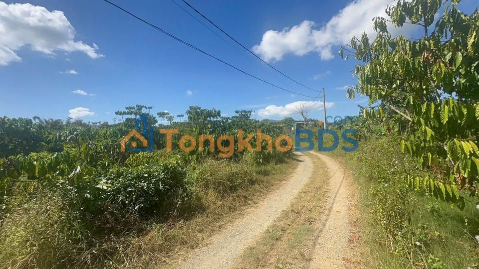 Đất Vườn Nghỉ Dưỡng 2550m² Hẻm Đinh Công Tráng, Bảo Lộc - Giá 2.95 Tỷ