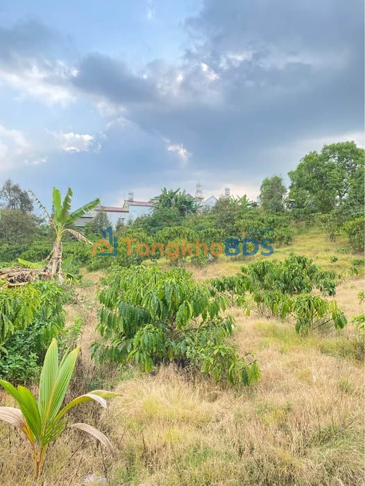 Đất nền Lộc Sơn Bảo Lộc 270m² 2 tỷ - Sổ đỏ chính chủ