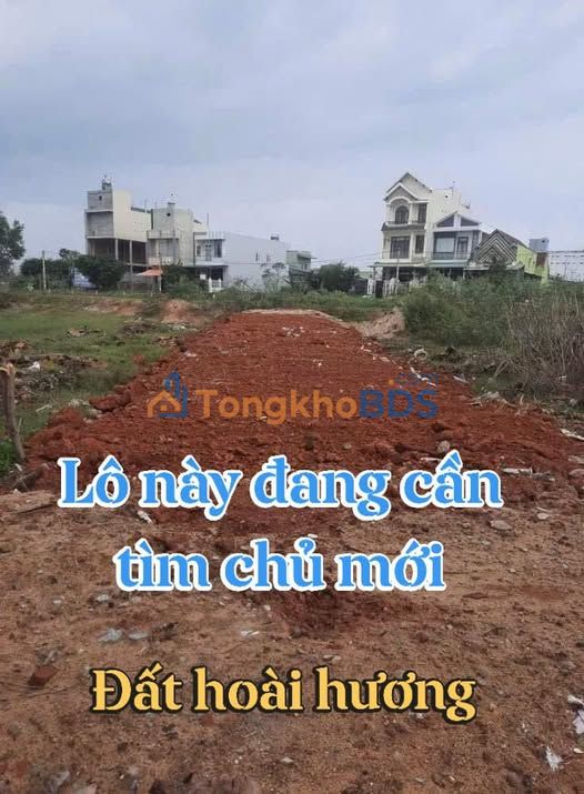 Đất Nền 155m² Full Thổ Cư, Sát Quảng Trường TT Hoài Nhơn - 1.1 Tỷ