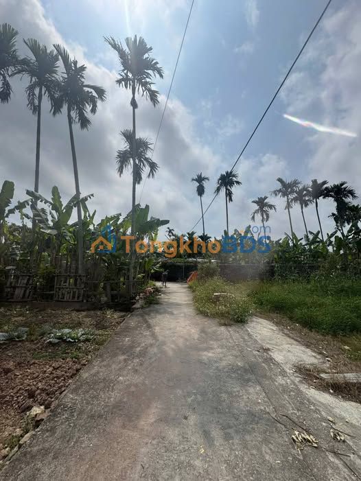 Đất Nền Kiến Thụy - Sổ Đỏ Full Thổ Cư 134m² - Giá Đầu Tư 1.34 Tỷ