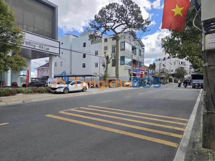 Đất Mặt Tiền Nguyễn Đình Chiểu Đà Lạt 356m² - Giá 44.5 Tỷ