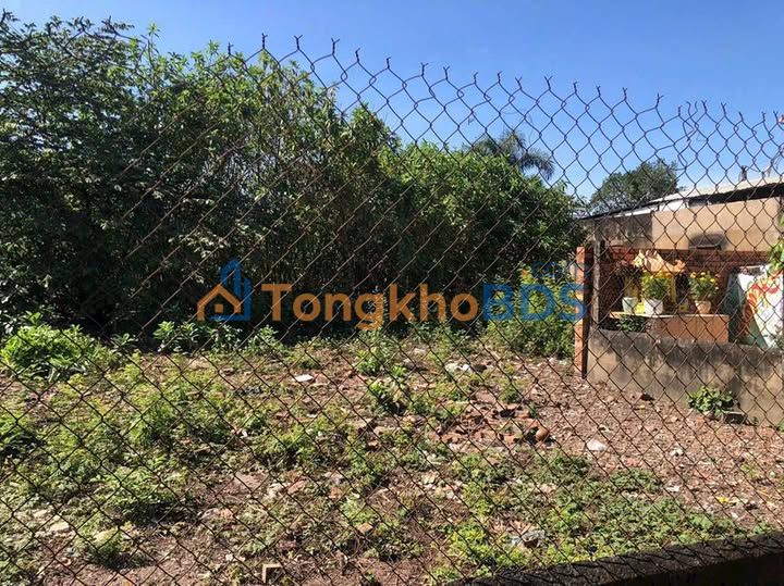 Bán Đất Vàng 530m² Tân Phong, Biên Hòa - 2.5 Tỷ, Đường Ô Tô Tới Đất