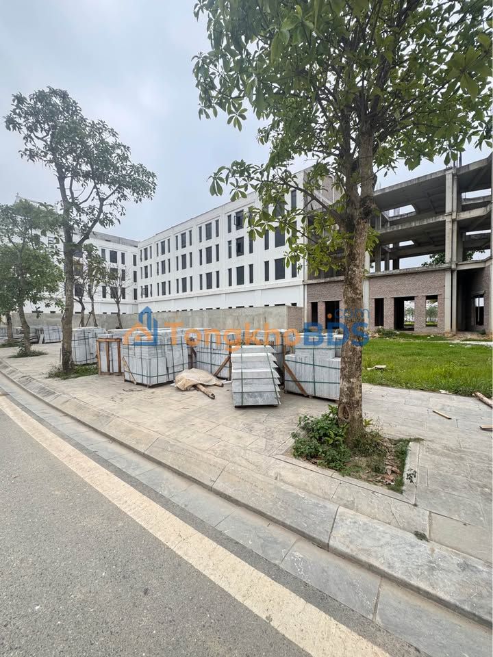 Đất nền Danko City Thái Nguyên 100m² - Sổ đỏ chính chủ