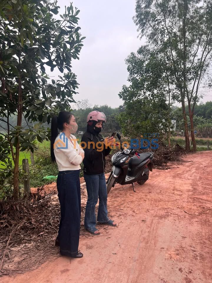 Đất Nền Phú Bình 700m² Sổ Đỏ Riêng - Giá Chỉ Từ 1 Tỷ