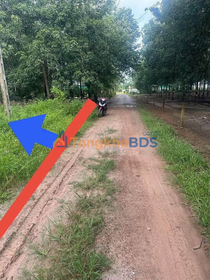 Đất Nền 17.000m² Mặt Tiền Nhựa Xã Thạnh Bình, Tân Biên - Giá Đầu Tư 2.2 Tỷ