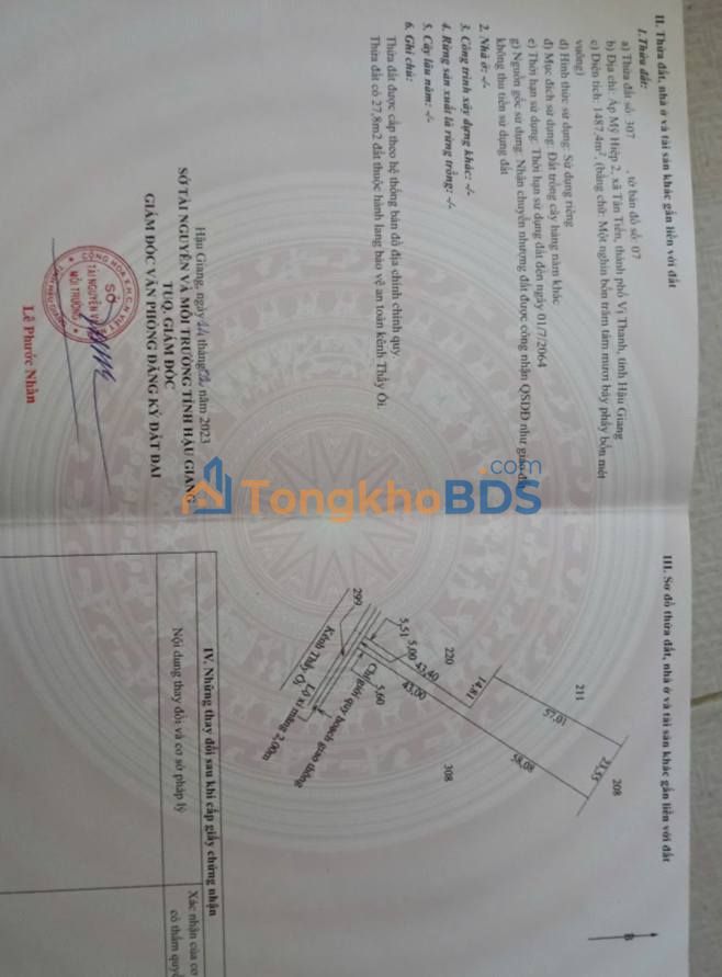 Đất Vườn Dừa 6000m² Hậu Giang - Giá Đầu Tư 780 Triệu