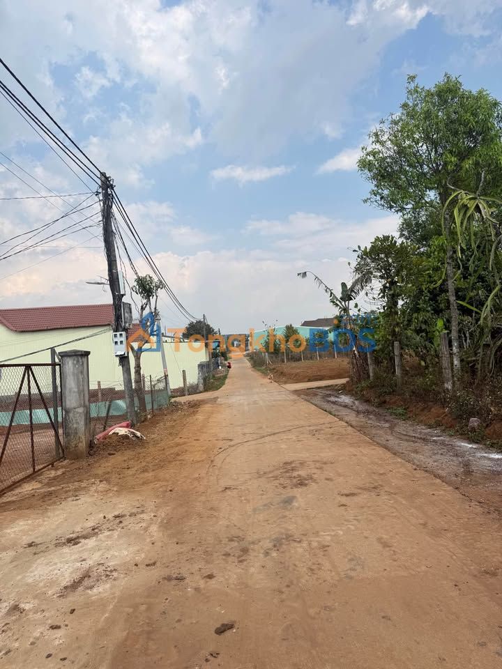 Đất Thổ Cư Gò Vấp 135m² - Hẻm 412 Trường Sơn, Giá Tốt