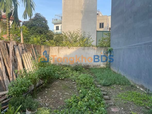 Bán đất Đại Cát 63.8m² - Sổ đỏ sẵn sàng, đầu tư sinh lời cao