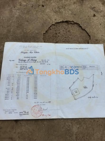 Bán Gấp Đất Nền Rộng 3000m² Sổ Hồng Tại Vân Hồ, Sơn La - Giá Thỏa Thuận