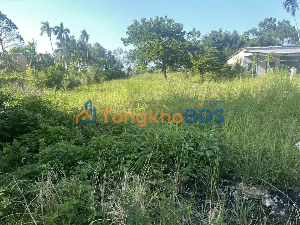 Bán Townhouse Mặt Tiền Nguyễn Tri Phương, Hội An - Ngang 10.3m, View Sông Mát Lành