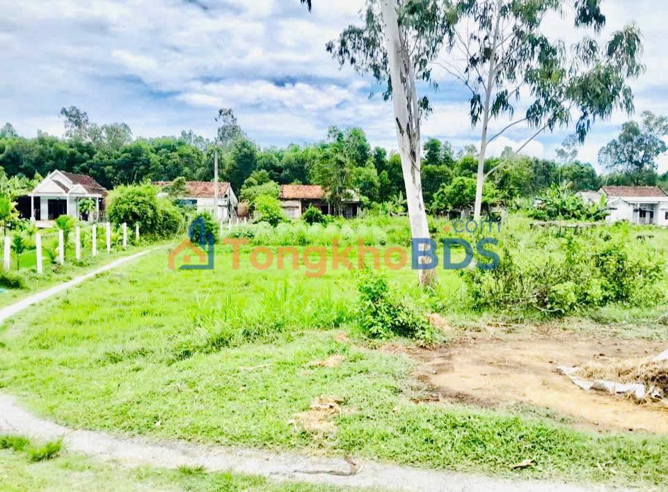 Đất Vườn 518m² Thăng Bình, Đà Nẵng - View Kênh Phú Ninh, 2 Mặt Tiền Đường 7xx Triệu