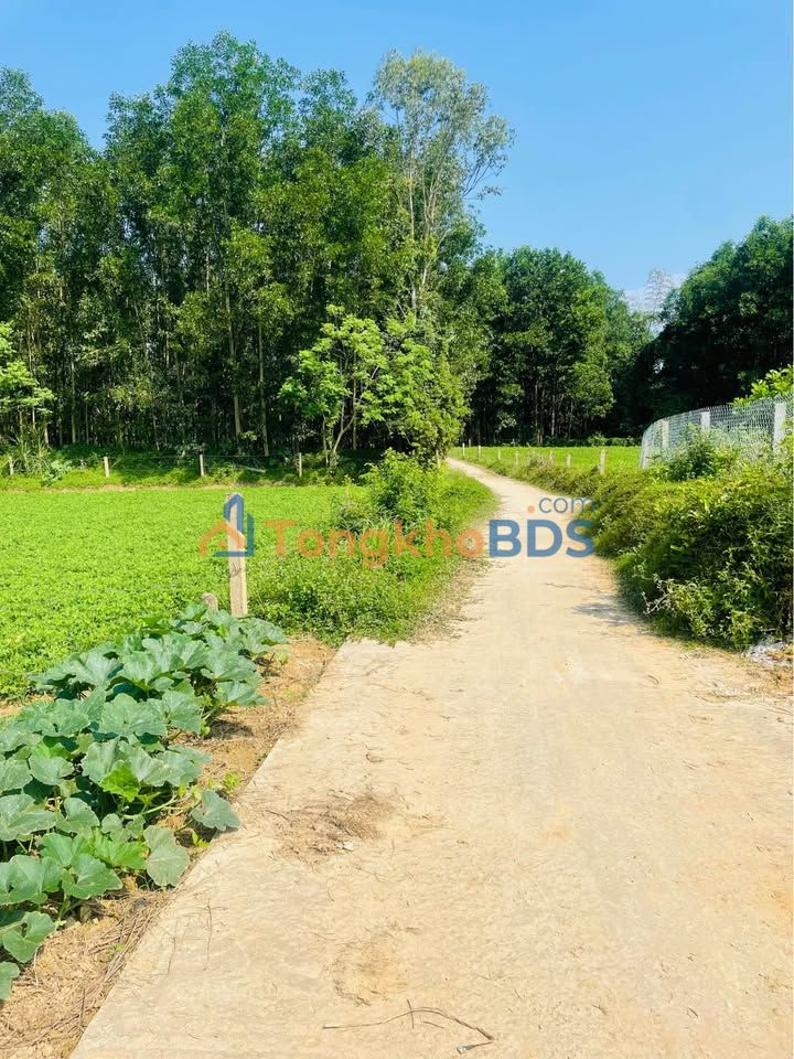 Bán đất Hòa Nhơn 1400m² - Sổ đỏ sẵn sàng giao dịch