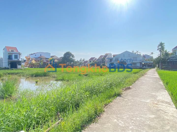 Đất nền Cẩm Châu Hội An 228m² 5 tỷ - Sổ đỏ chính chủ