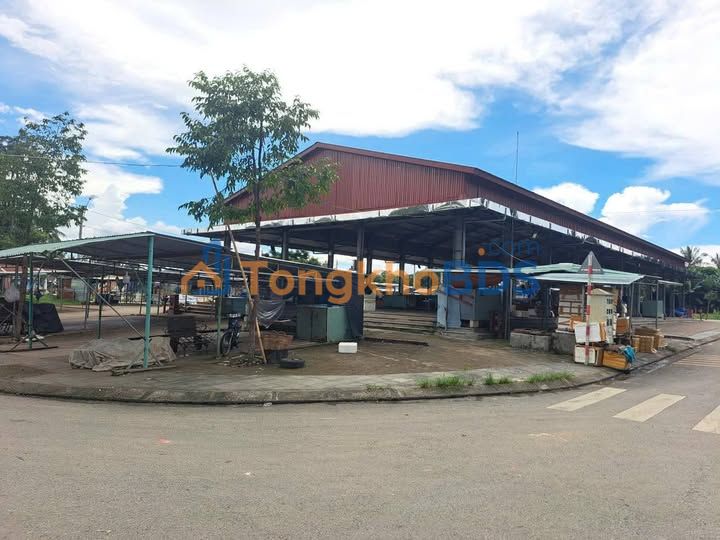 Đất Kinh Doanh Mặt Tiền Chợ Đầu Mối Kon Tum - 75m² - Sẵn Sàng Xây Dựng