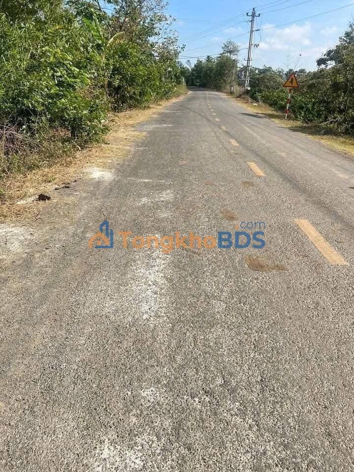 Bán Đất 1800m² Mặt Đường Nhựa Buôn Đôn - Thích Hợp Làm Kho Xưởng