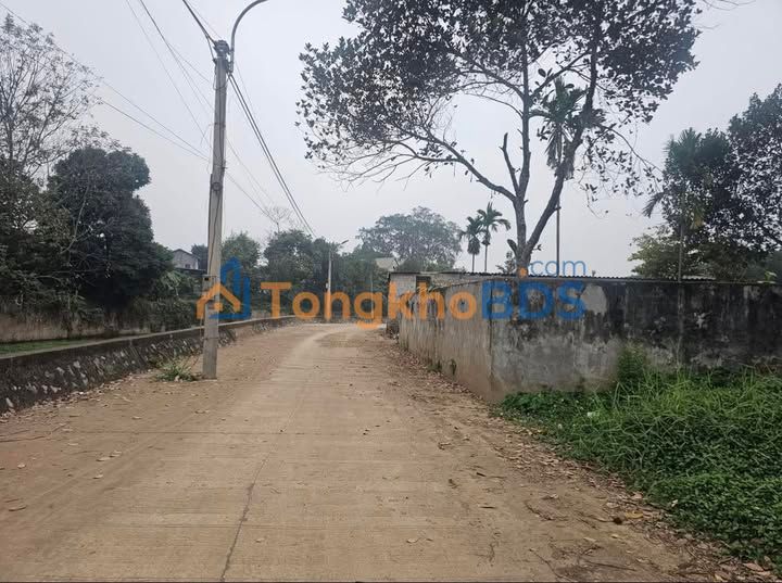 Đất nền Thống Nhất Hòa Bình 304m² - Đất thổ cư 100%