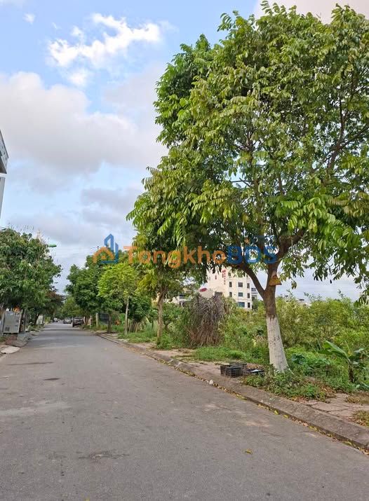 Đất Vàng Hoàng Diệu, Thái Bình - 75.4m² Sổ Đỏ, Giá 2.x Tỷ