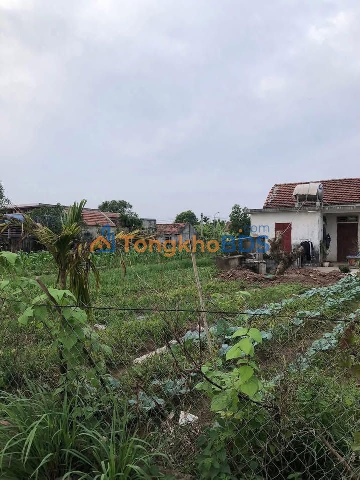 Đất Vàng Nghĩa Hưng - 456m² Sổ Đỏ, Gần KCN, Giá Đầu Tư 1.8 Tỷ