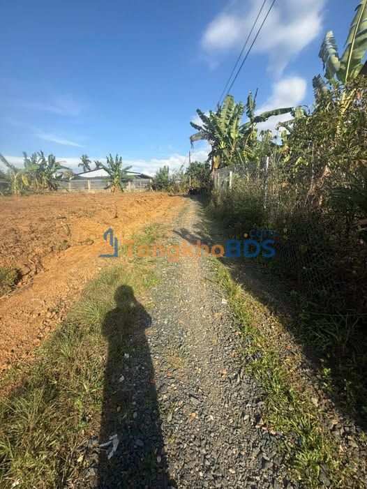 Bán Gấp 2 Lô Đất Liền Kề 400m² Lộc Châu, Bảo Lộc - Sổ Hồng Sẵn Sàng