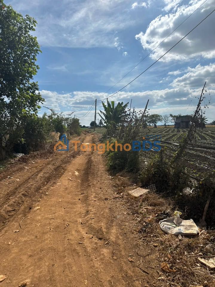 Bán Đất Vàng 18.000m² Mặt Tiền Đường Đất, Tân Bình, TP.HCM - 4 Tỷ