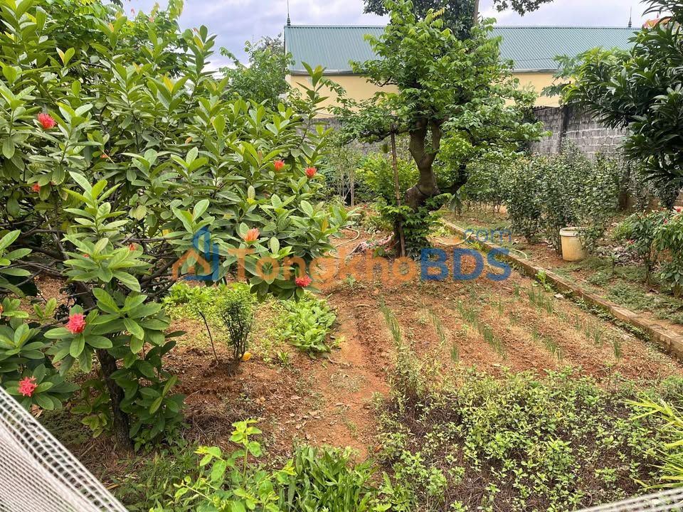 Đất Quốc Oai 75m² Sổ hồng sẵn CC - Giá 2 Tỷ Ô Tô Tránh Nhau