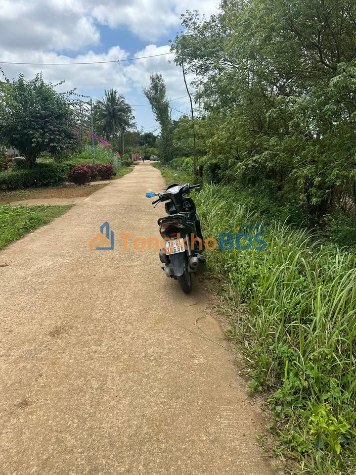 Đất Nền Farm Nhà Vườn 684m² Bám Mặt Tiền Đường 650, Sơn Hòa, Phú Yên - Giá Tốt