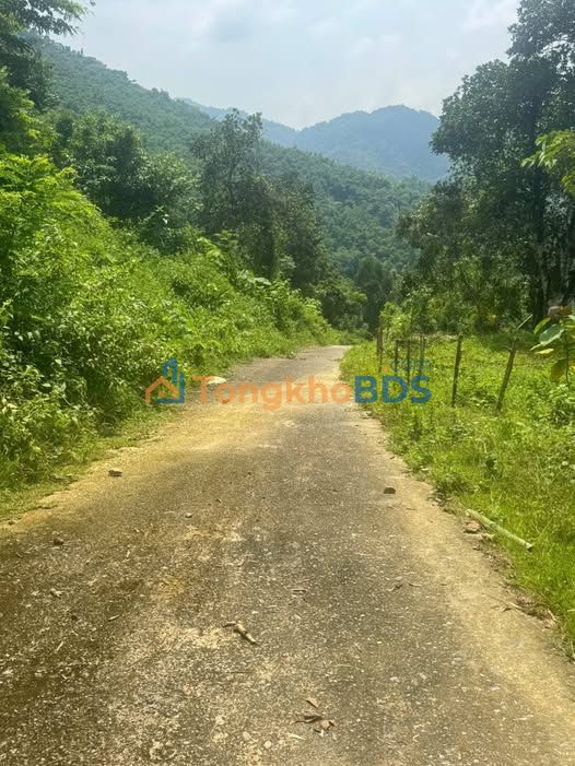 Bán Gấp 150ha Đất Vườn Hòa Bình - View Hồ Chính Chủ