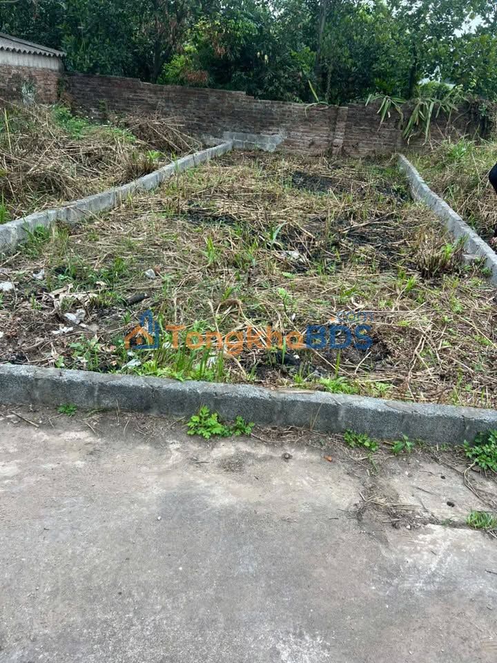 Đất Nền Ân Thi, Hưng Yên - 43.4m² Sổ Đỏ Chính Chủ, Giá Tốt