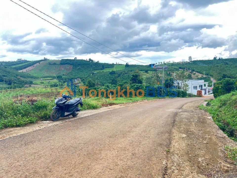 Đất nghỉ dưỡng P2 Bảo Lộc 14400m² 5 tỷ - Pháp lý rõ ràng