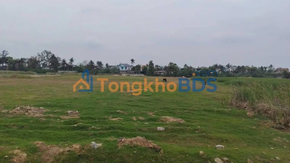 Đất Tái Định Cư Châu Thành Sầm Sơn 105m² - Đối Diện TT Hành Chính Mới