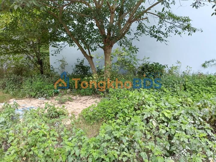 Đất Nền Quảng Nhân 208m² - Sổ Đỏ Sẵn Sàng - Giá Tốt Đầu Tư