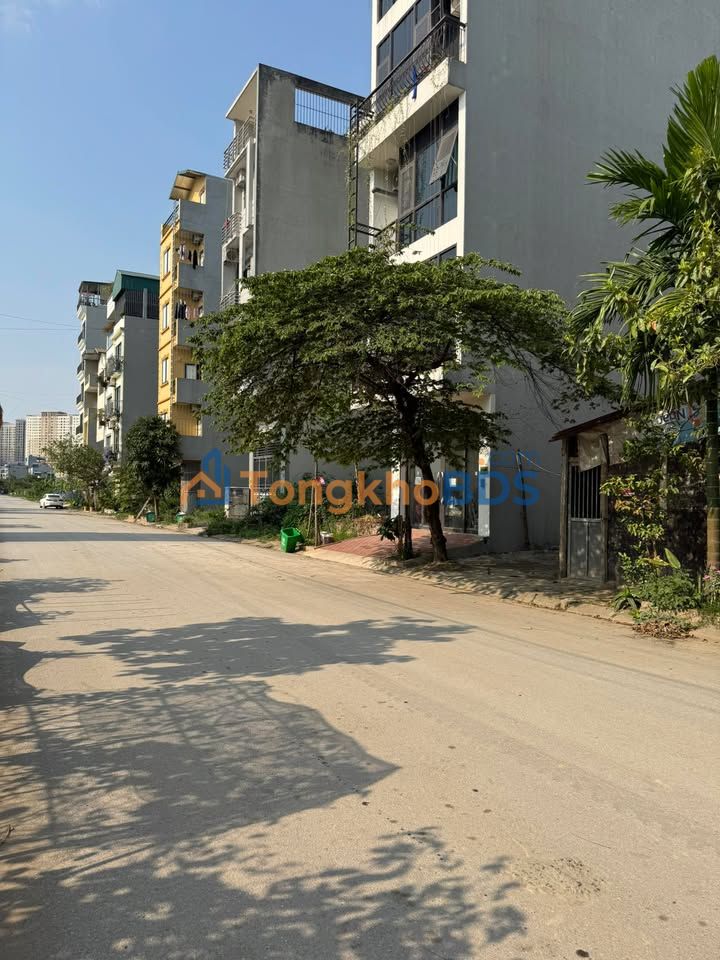 Đất Vàng Long Biên 250m² - 13.5 Tỷ, Mặt Tiền 5m, Đường 24m - Giá Tốt