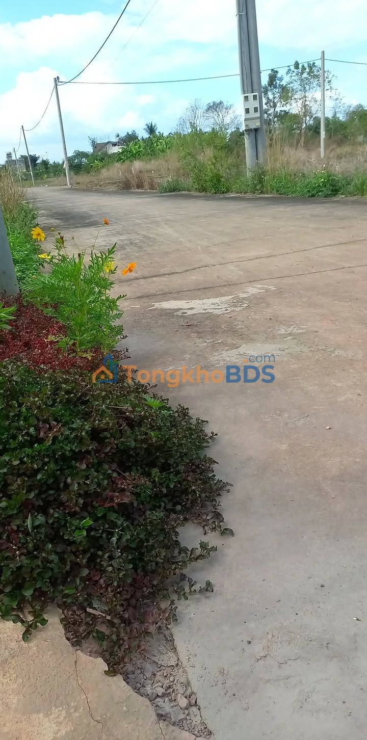 Nhà 252m² Vĩnh Cửu Tặng Nội Thất 100 Triệu - Giá 7xx Tỷ