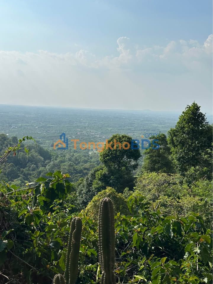 Mặt Bằng Kinh Doanh Góc 2 Mặt Tiền Bờ Kè Bửu Long, Biên Hòa - 200m², 20 Triệu/Tháng