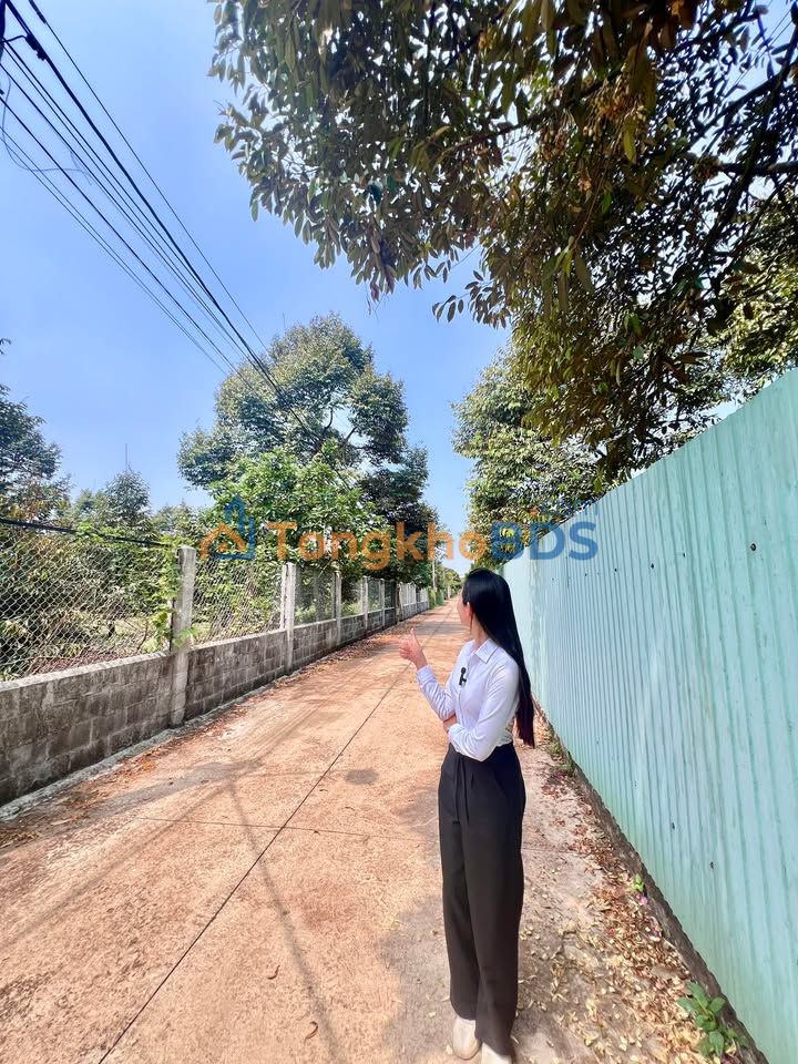 Đất Vườn Sầu Riêng Long Khánh 7200m² - Giá 2.8 Tỷ, Cách Chợ 200m