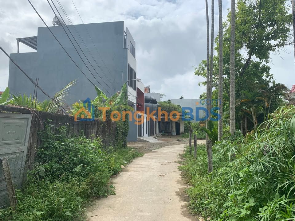 Bán Đất Kiệt 81 Trần Ngọc Sương, Cẩm Lệ - 100m², Nở Hậu, Giá 3 Tỷ