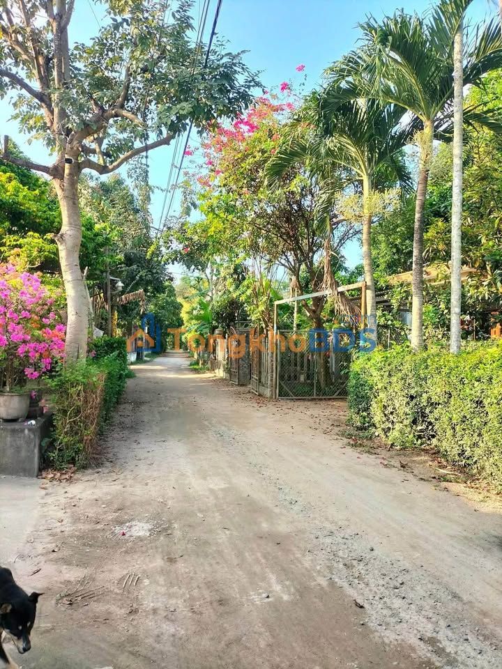 Bán Đất Xã Hòa Tiến 126.9m² Đường Ô Tô - Giá 1.3 Tỷ Hỗ Trợ Vay