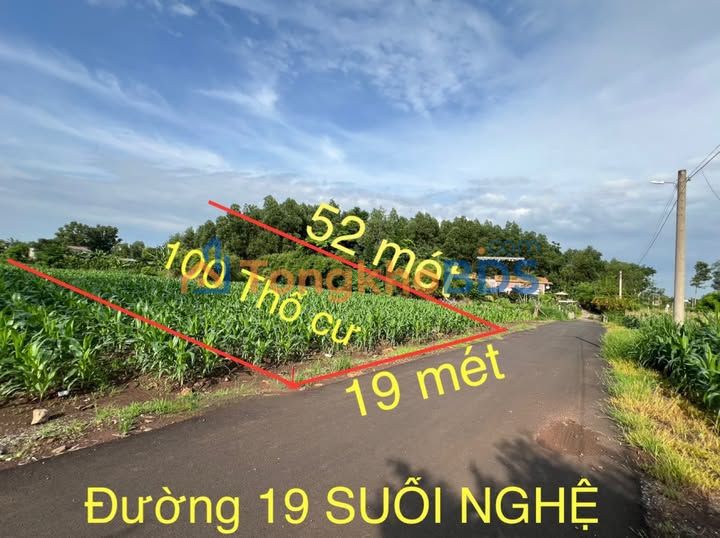 Đất nền Suối Nghệ Châu Đức 988m² 4.085 tỷ - Sổ đỏ