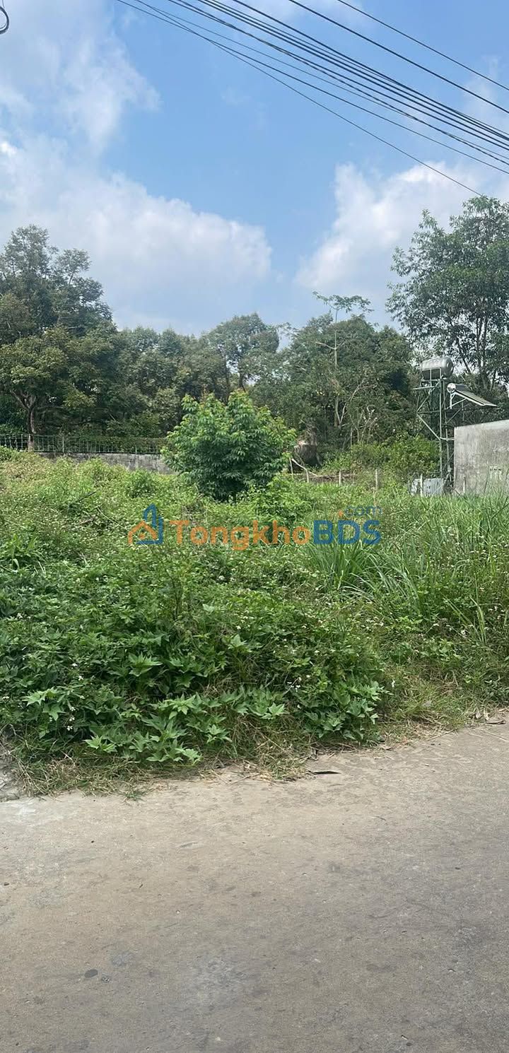 Đất Nền Mặt Tiền Đường Tỉnh Lộ 767, Tân Phú, Đồng Nai - 1650m² Sổ Hồng Giá Tốt