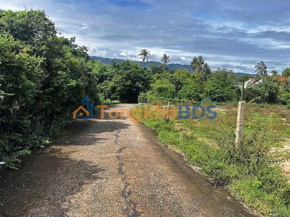 Đất nền Thọ Lâm, Long Thành - 221m² sổ hồng chính chủ, giá 1.5 tỷ