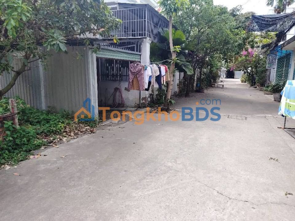 Đất nền Phạm Hữu Lầu Q7 100m² 4.95 tỷ - Xây dựng tự do