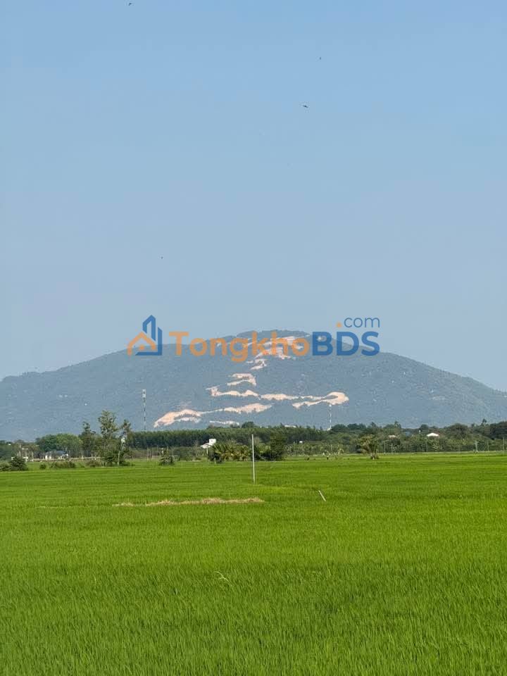 Đất Vườn Xuân Lộc - 1.9 Tỷ/19000m² - Sẵn Sổ, Thu Nhập Ổn Định